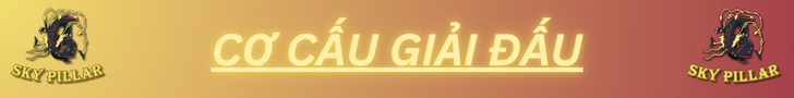 Cơ cấu giải đấu